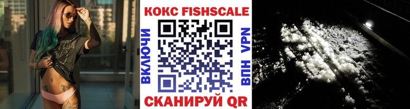 купить закладку  Малая Вишера  Cocaine FishScale 