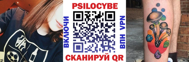 купить Малая Вишера Псилоцибиновые грибы Cubensis